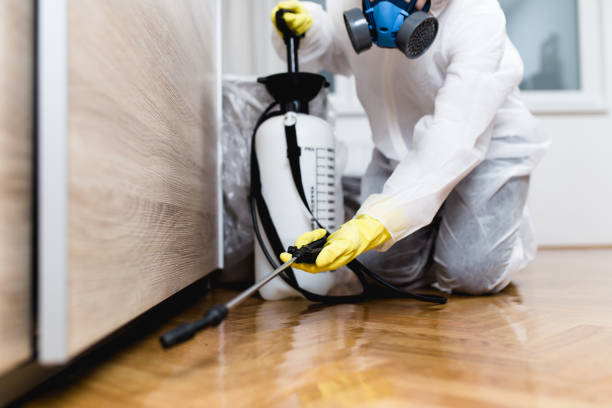 Best Pest Control for Restaurants  in Shallotte, NC