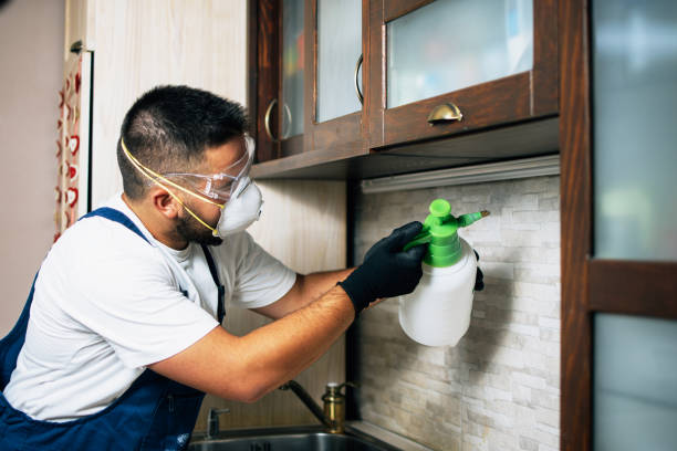 Best Flea Control Services  in Shallotte, NC