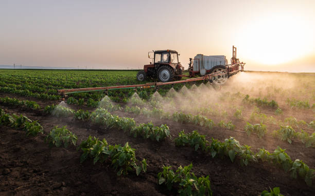 Pest Control Cost in Shallotte, NC