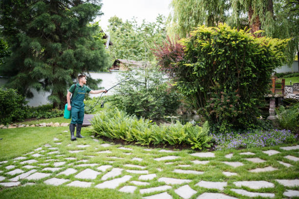 Best Mosquito Control Services  in Shallotte, NC