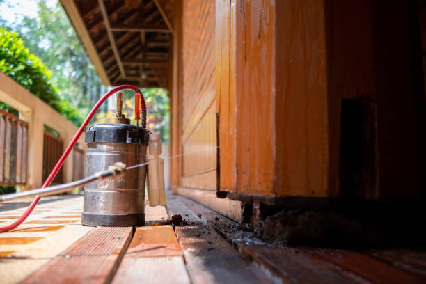 Best Insect Control  in Shallotte, NC