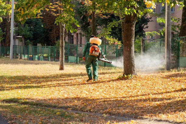 Insect Control in Shallotte, NC