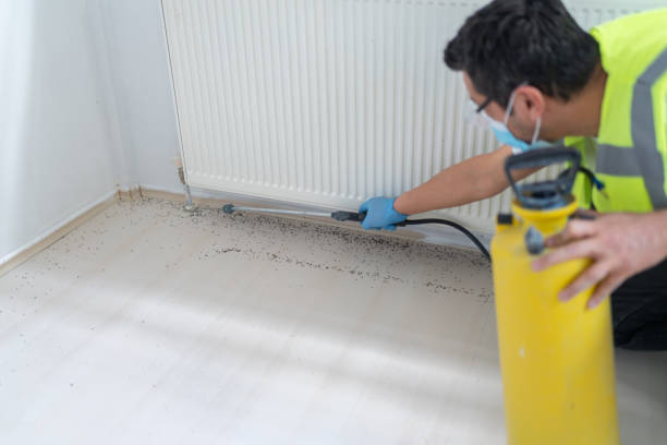 Best Residential Pest Control  in Shallotte, NC