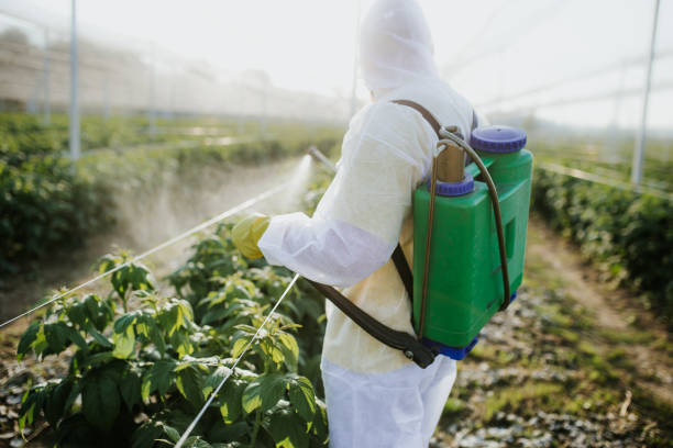 Shallotte, NC Pest Control Company